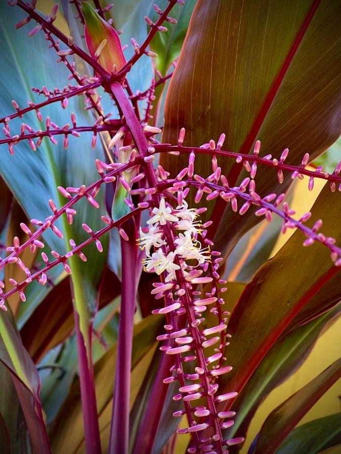 Bangalo De Madeira Em Condominio De Praia Camaçari Kültér fotó